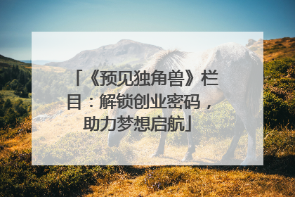 《预见独角兽》栏目：解锁创业密码，助力梦想启航