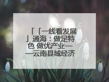 「一线看发展」通海：做足特色 做优产业——云南县域经济样本观察之二