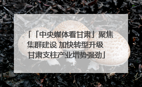 「中央媒体看甘肃」聚焦集群建设 加快转型升级 甘肃支柱产业增势强劲