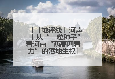 「地评线」河声丨从“一粒种子”看河南“两高四着力”的落地生根