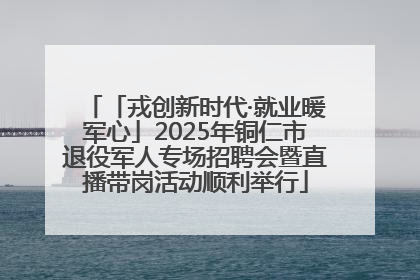 「戎创新时代·就业暖军心」2025年铜仁市退役军人专场招聘会暨直播带岗活动顺利举行