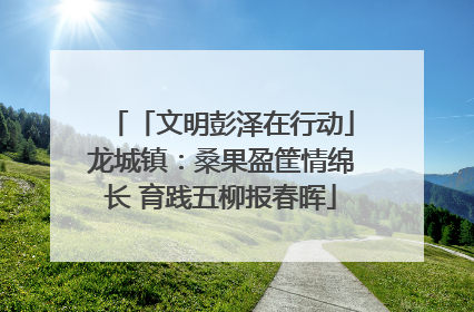 「文明彭泽在行动」龙城镇：桑果盈筐情绵长 育践五柳报春晖