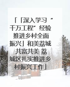 「深入学习“千万工程”经验 推进乡村全面振兴」和美荔城 共富共美 荔城区扎实推进乡村振兴工作