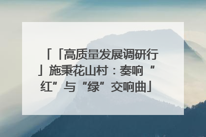 「高质量发展调研行」施秉花山村：奏响“红”与“绿”交响曲