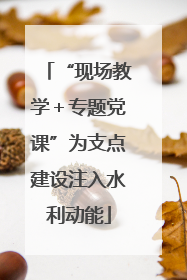 “现场教学＋专题党课”为支点建设注入水利动能