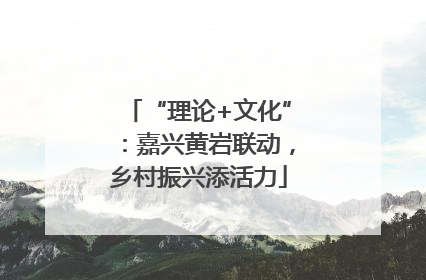 “理论+文化”：嘉兴黄岩联动，乡村振兴添活力