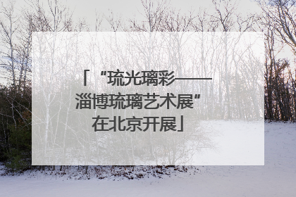 “琉光璃彩——淄博琉璃艺术展”在北京开展
