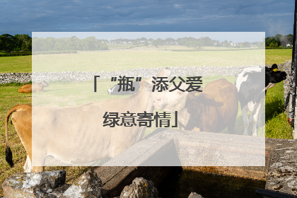 “瓶”添父爱 绿意寄情