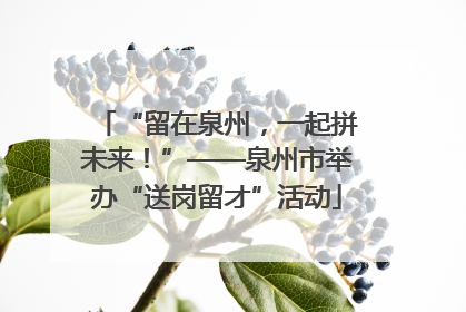 “留在泉州，一起拼未来！”——泉州市举办“送岗留才”活动