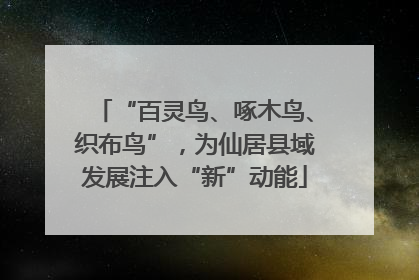 “百灵鸟、啄木鸟、织布鸟”，为仙居县域发展注入“新”动能