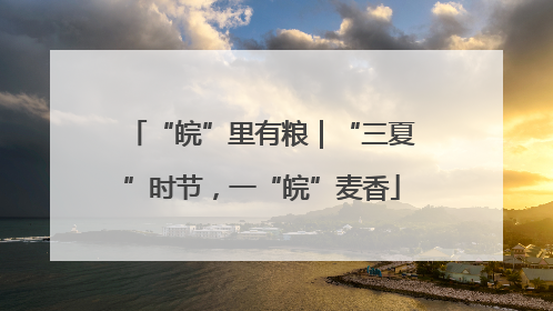 “皖”里有粮｜“三夏”时节，一“皖”麦香