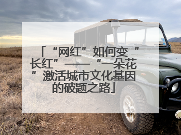 “网红”如何变“长红”——“一朵花”激活城市文化基因的破题之路