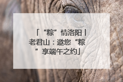 “粽”情洛阳丨老君山：邀您“粽”享端午之约