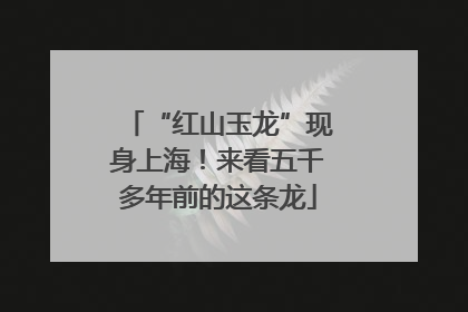 “红山玉龙”现身上海！来看五千多年前的这条龙