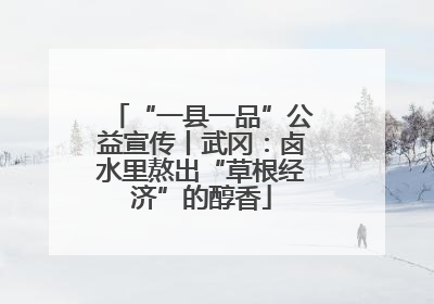 “一县一品”公益宣传丨武冈：卤水里熬出“草根经济”的醇香