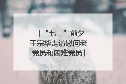 “七一”前夕 王宗华走访慰问老党员和困难党员