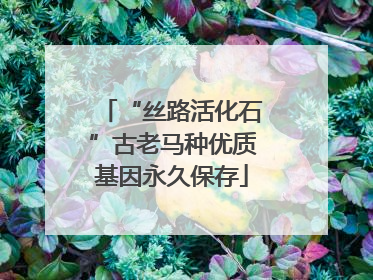 “丝路活化石”古老马种优质基因永久保存