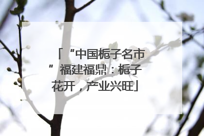 “中国栀子名市”福建福鼎：栀子花开，产业兴旺