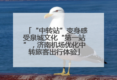 “中转站”变身感受泉城文化“第一站”，济南机场优化中转旅客出行体验