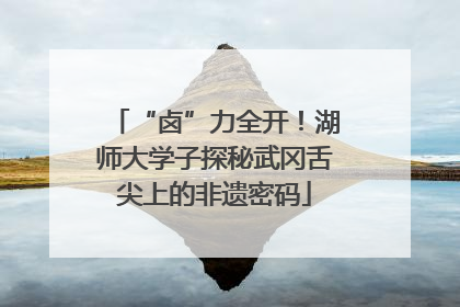 “卤”力全开！湖师大学子探秘武冈舌尖上的非遗密码