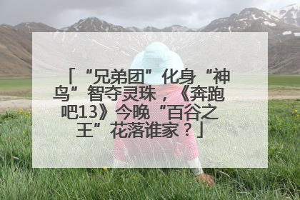 “兄弟团”化身“神鸟”智夺灵珠，《奔跑吧13》今晚“百谷之王”花落谁家？