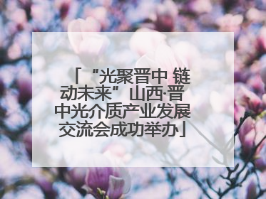 “光聚晋中 链动未来”山西·晋中光介质产业发展交流会成功举办
