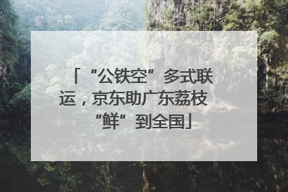 “公铁空”多式联运，京东助广东荔枝“鲜”到全国