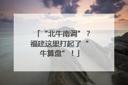“北牛南调”？福建这里打起了“牛算盘”！