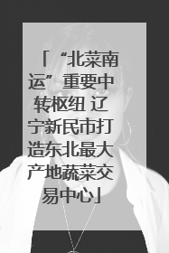 “北菜南运”重要中转枢纽 辽宁新民市打造东北最大产地蔬菜交易中心