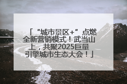 “城市景区+”点燃全新营销模式！武当山上，共聚2025巨量引擎城市生态大会！