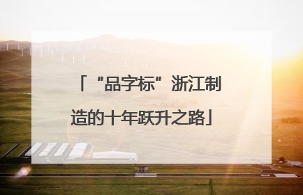 “品字标”浙江制造的十年跃升之路