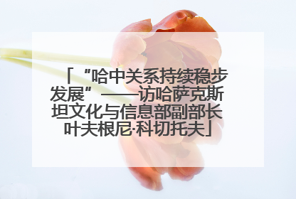 “哈中关系持续稳步发展”——访哈萨克斯坦文化与信息部副部长叶夫根尼·科切托夫