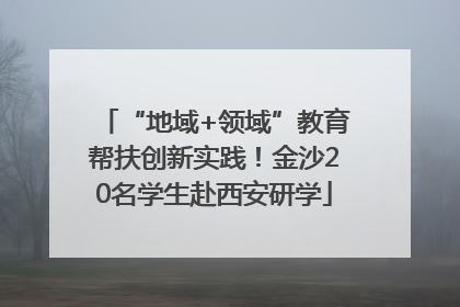 “地域+领域”教育帮扶创新实践！金沙20名学生赴西安研学