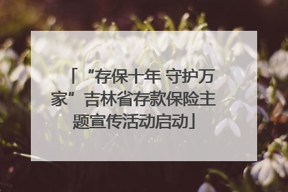 “存保十年 守护万家”吉林省存款保险主题宣传活动启动