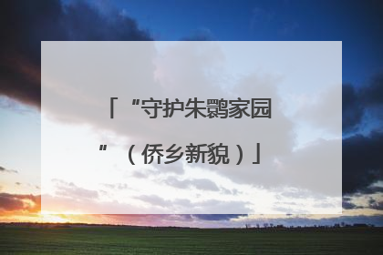 “守护朱鹮家园”（侨乡新貌）