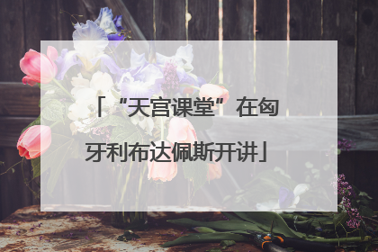 “天宫课堂”在匈牙利布达佩斯开讲