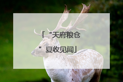 “天府粮仓”夏收见闻