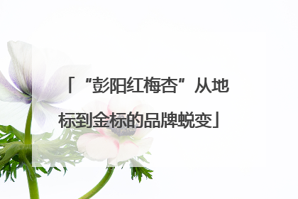 “彭阳红梅杏”从地标到金标的品牌蜕变