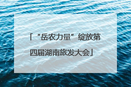 “岳农力量”绽放第四届湖南旅发大会