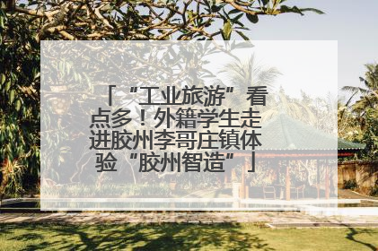 “工业旅游”看点多！外籍学生走进胶州李哥庄镇体验“胶州智造”