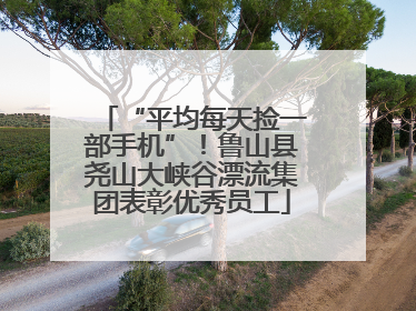 “平均每天捡一部手机”！鲁山县尧山大峡谷漂流集团表彰优秀员工