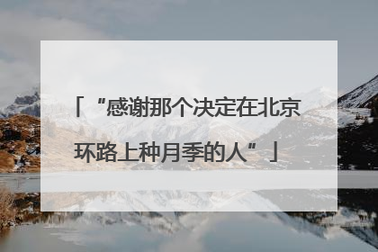 “感谢那个决定在北京环路上种月季的人”