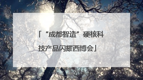 “成都智造”硬核科技产品闪耀西博会