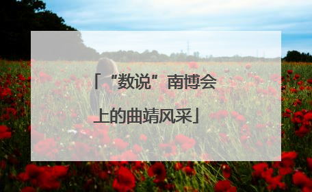 “数说”南博会上的曲靖风采