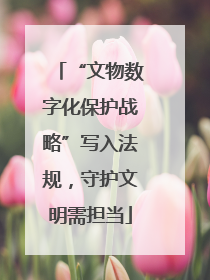 “文物数字化保护战略”写入法规，守护文明需担当