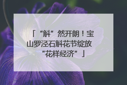“斛”然开朗！宝山罗泾石斛花节绽放“花样经济”