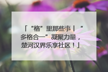 “格”里那些事丨“多格合一”凝聚力量，楚河汉界乐享社区！