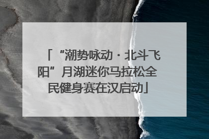 “潮势咏动・北斗飞阳”月湖迷你马拉松全民健身赛在汉启动
