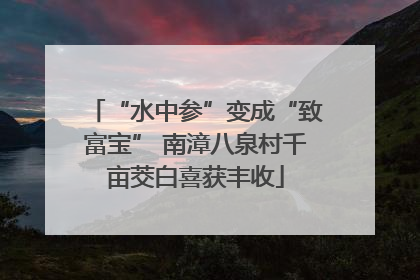 “水中参”变成“致富宝” 南漳八泉村千亩茭白喜获丰收