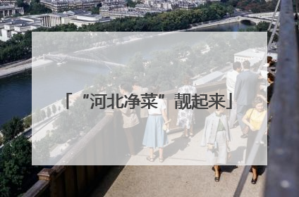 “河北净菜”靓起来